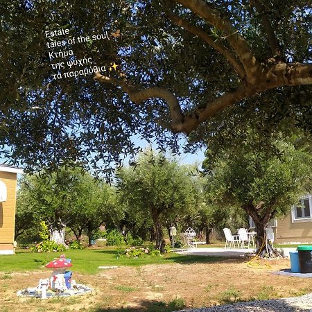 Bungalows With Private Pools "Tales Of The Soul - Της Ψυχής Τα Παραμύθια" Anemochori Zewnętrze zdjęcie