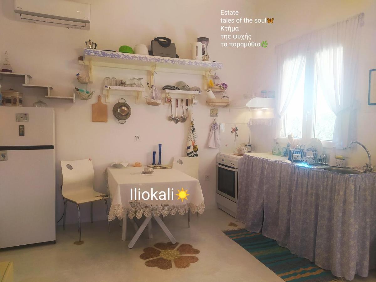 Bungalows With Private Pools "Tales Of The Soul - Της Ψυχής Τα Παραμύθια" Anemochori Zewnętrze zdjęcie