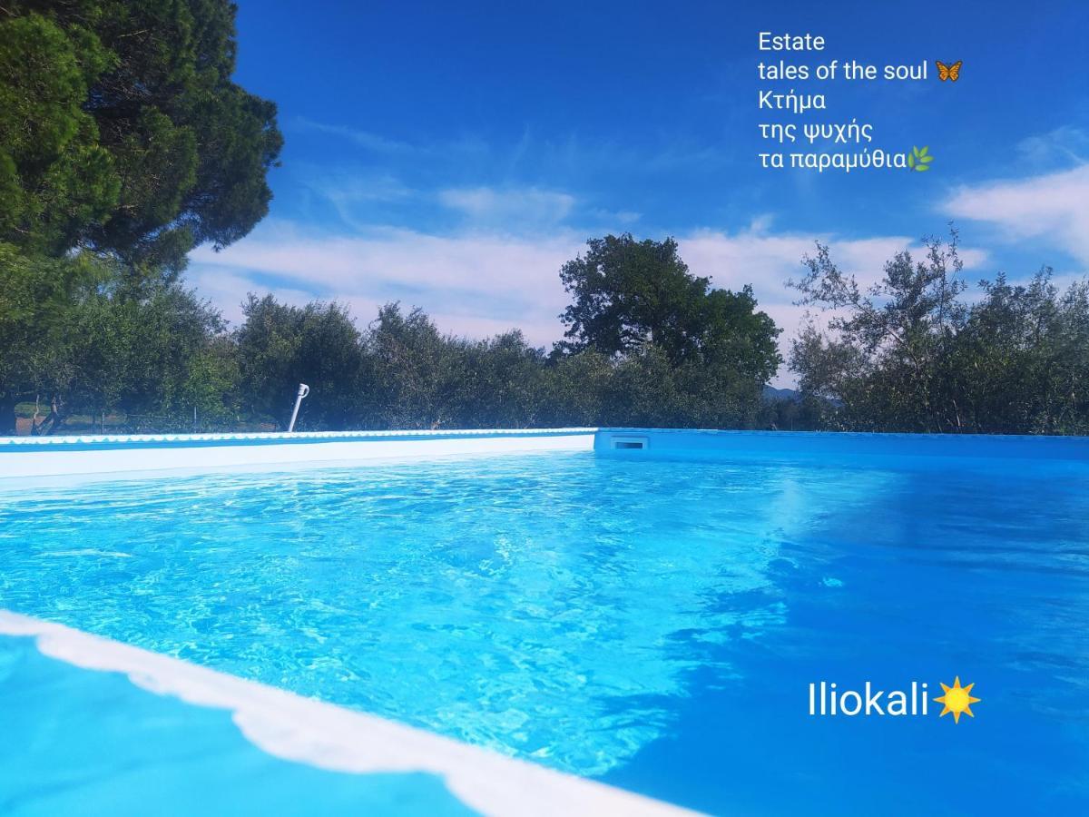 Bungalows With Private Pools "Tales Of The Soul - Της Ψυχής Τα Παραμύθια" Anemochori Zewnętrze zdjęcie